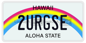 2URGSE  license plate in HI