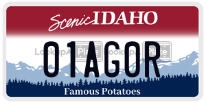 01AG0R  license plate in ID