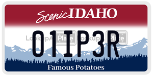 01IP3R  license plate in ID