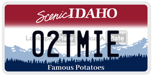 02TMIE  license plate in ID