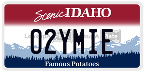 02YMIE  license plate in ID