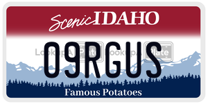 09RGUS  license plate in ID