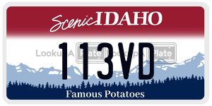 113VD  license plate in ID