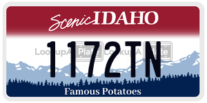 1172TN  license plate in ID