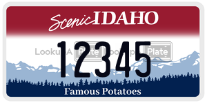 12345  license plate in ID