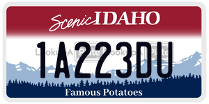 1A223DU  license plate in ID