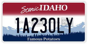 1A230LY  license plate in ID