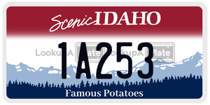 1A253  license plate in ID