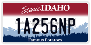 1A256NP  license plate in ID