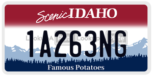 1A263NG  license plate in ID