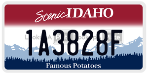1A3828F  license plate in ID