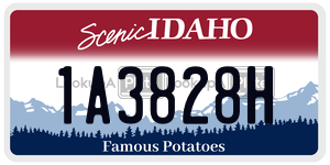 1A3828H  license plate in ID