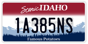 1A385NS  license plate in ID