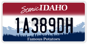 1A389DH  license plate in ID