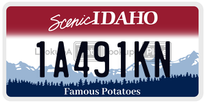 1A491KN  license plate in ID