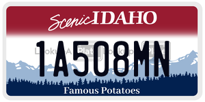 1A508MN  license plate in ID