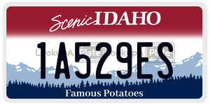 1A529ES  license plate in ID