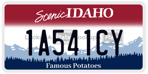 1A541CY  license plate in ID