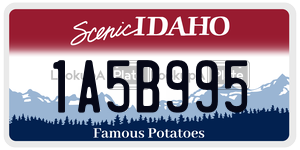 1A5B995  license plate in ID