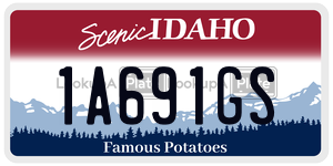 1A691GS  license plate in ID