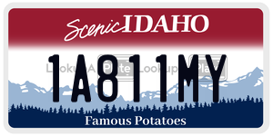 1A811MY  license plate in ID