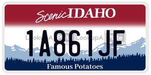 1A861JF  license plate in ID