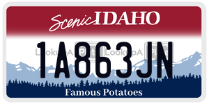 1A863JN  license plate in ID