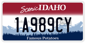 1A989CY  license plate in ID