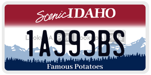 1A993BS  license plate in ID