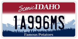 1A996MS  license plate in ID