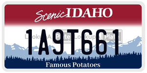 1A9T661  license plate in ID