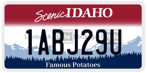 1ABJ29U  license plate in ID