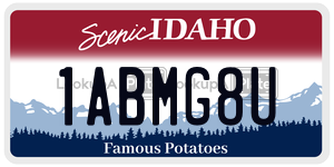 1ABMG8U  license plate in ID