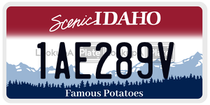 1AE289V  license plate in ID