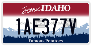 1AE377V  license plate in ID
