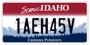 1AEH45V  license plate in ID