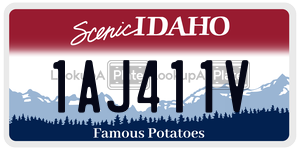1AJ411V  license plate in ID