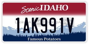 1AK991V  license plate in ID