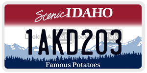 1AKD203  license plate in ID