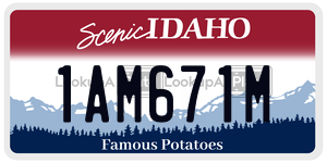 1AM671M  license plate in ID