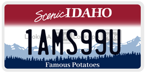 1AMS99U  license plate in ID