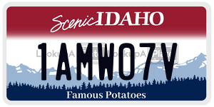 1AMW07V  license plate in ID