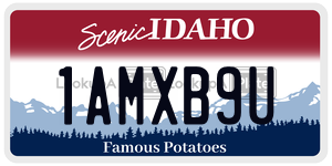 1AMXB9U  license plate in ID
