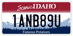 1ANB89U  license plate in ID