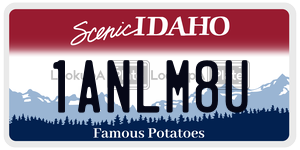 1ANLM8U  license plate in ID