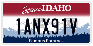 1ANX91V  license plate in ID