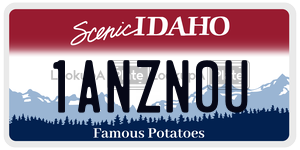 1ANZN0U  license plate in ID