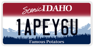 1APEY6U  license plate in ID