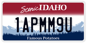 1APMM9U  license plate in ID