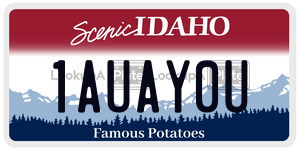 1AUAY0U  license plate in ID